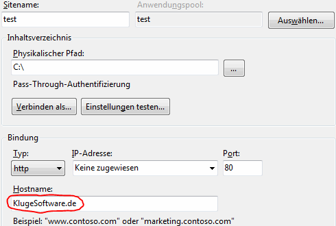 - iis hostname